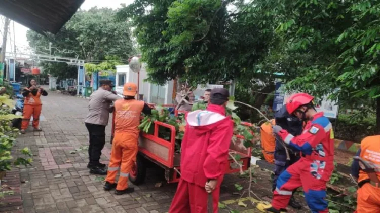 Petugas Gabungan Untung Jawa Tangani Pohon Tumbang