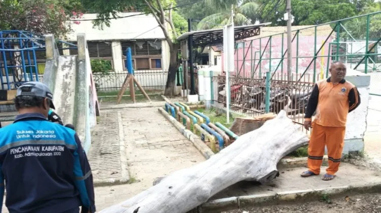 Rawan Tumbang,  Pohon di Taman Kantor Kelurahan Pulau Kelapa Ditebang