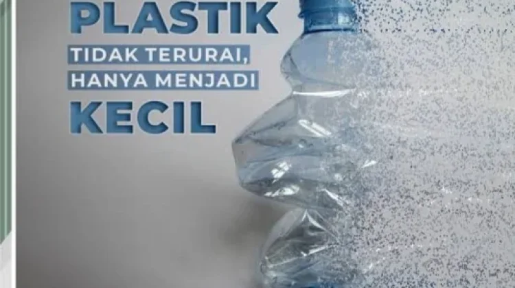Pakar IPB University: Nanoplastik Berpotensi Masuk dalam Darah