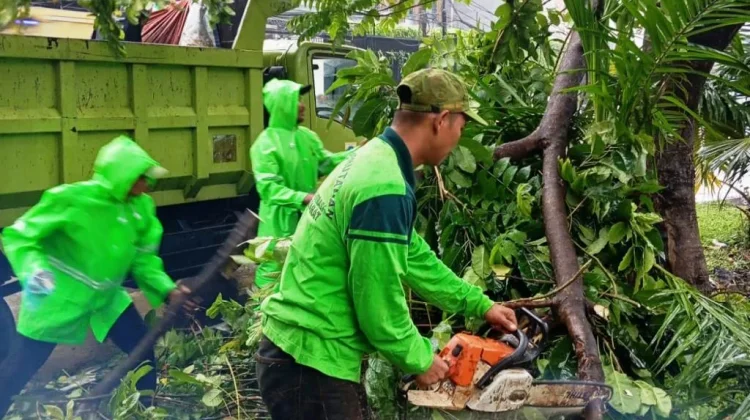 Sepanjang Februari 2026, Tamhut Jakbar Tangani 460 Pohon