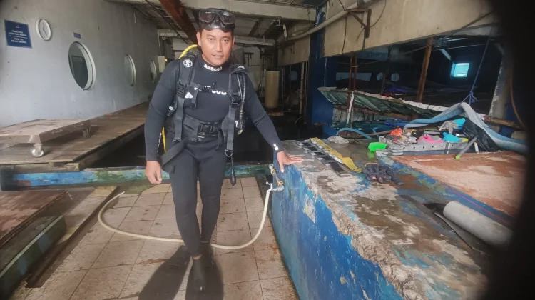 Chandra, 7 Tahun Menyelam Bersama Hiu di SeaWorld