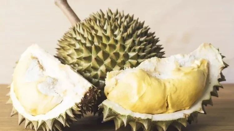 Konsumsi Durian Berlebih, Picu Masalah Kesehatan