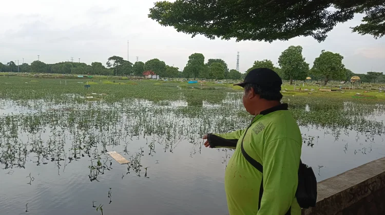Bertani di Lahan Jakpro Rorotan