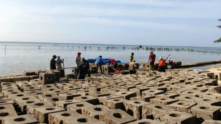 Ratusan Substrat Terumbu  Ditenggelamkan di Perairan Pulau Pari