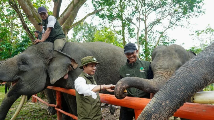 Daftar Taman Nasional dan Taman Wisata Alam yang Tutup di Libur Lebaran