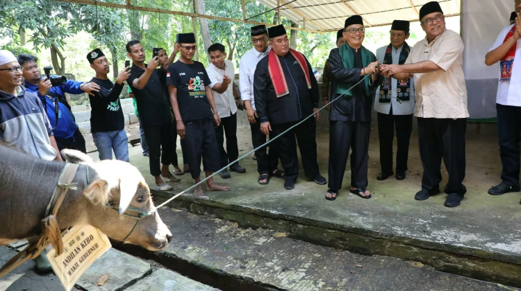 Tradisi Andilan Kebo Hidupkan Kembali Semangat Gotong Royong di Jakarta