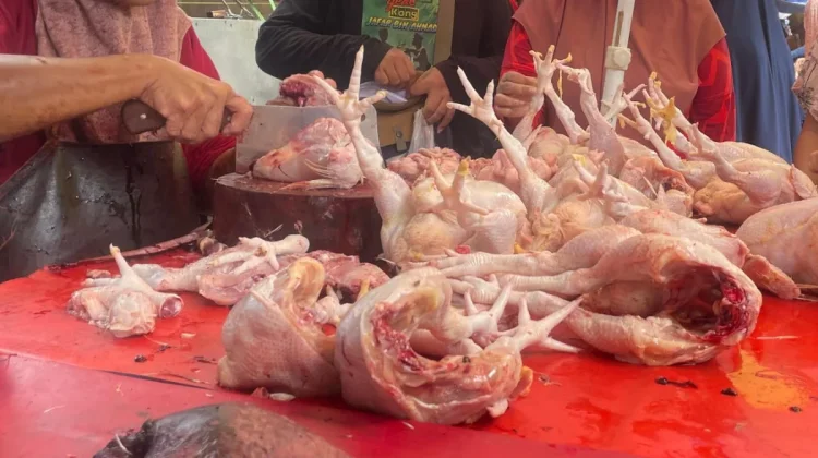 Dharma Jaya–Bapanas Kolaborasi Turunkan Harga Ayam jelang Lebaran