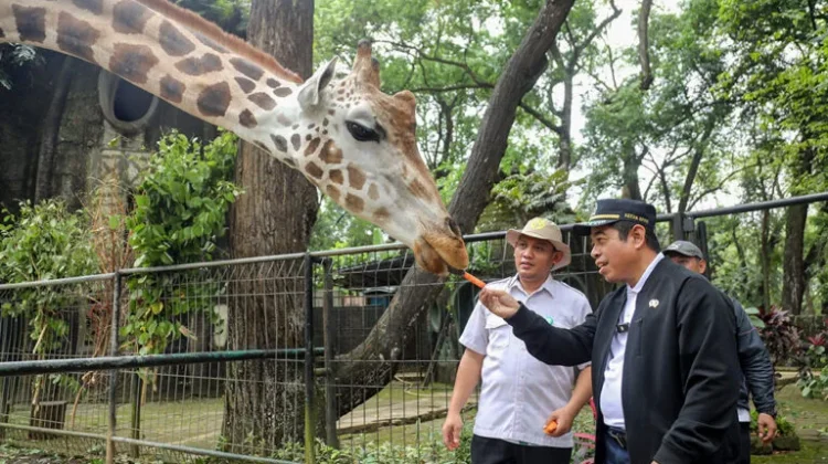 Ketua DPRD DKI Apresiasi Tiket Ragunan masih Terjangkau