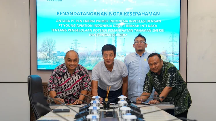PLN EPI Gandeng Swasta Kembangkan Sorgum Jadi Bahan Baku Biomassa