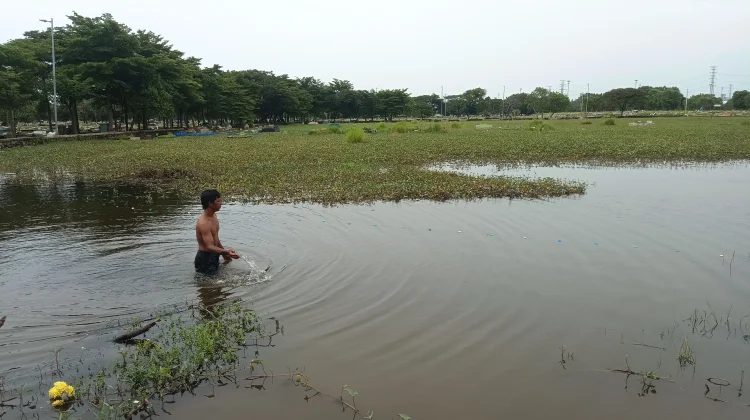 Fenomena Unik: TPU Terendam, Warga Asyik Menjaring Ikan