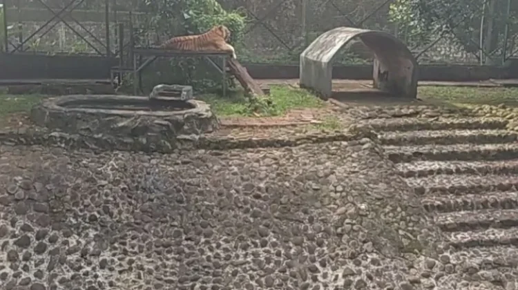 Kebun Binatang Ragunan Masih Jadi Tempat Wisata Favorit Libur Lebaran