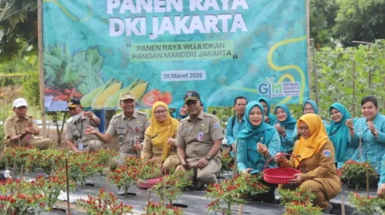 Kabupaten Kepulauan Seribu Mengikuti Panen Raya Serentak Virtual