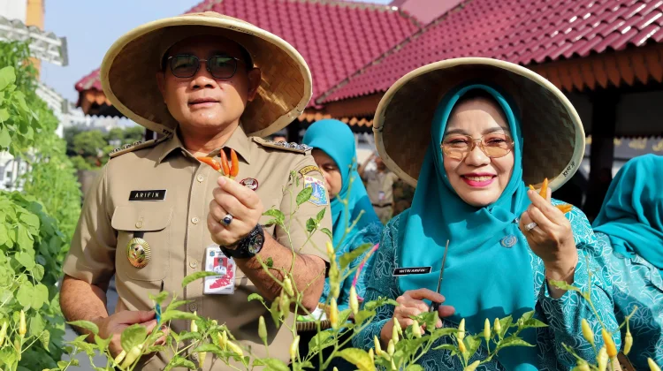 Jakpus Panen 1,1 Ton Sayur dan Ikan dari 58 Titik Urban Farming