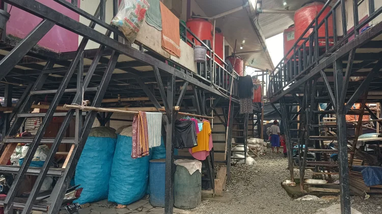 Melihat Rumah Panggung, Solusi Hadapi Banjir Rob Pesisir