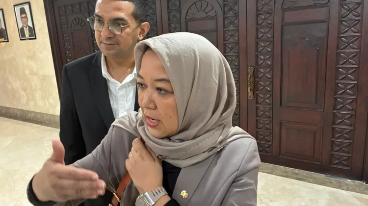 Legislator DKI Apresiasi Kreativitas Zebra Cross