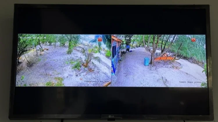 Teknologi PHE OSES dan BKSDA Jakarta Pasang CCTV Pantau Penyu Sisik