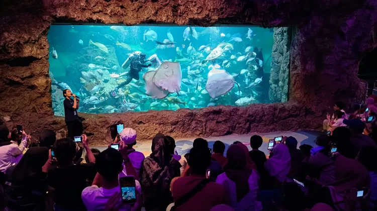 Liburan Seru di Ancol dengan Promo Lebih Hemat