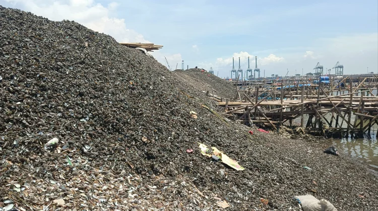 Gunungan Limbah Kerang: Masalah Menahun yang Belum Teratasi
