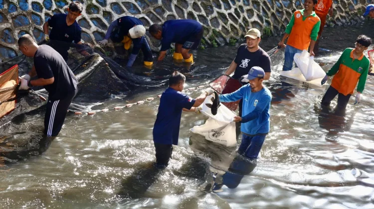 Pemkot Jakpus Tangkap Ikan Sapu-sapu di Kali Cideng, Warga Diimbau Tak Mengonsumsi