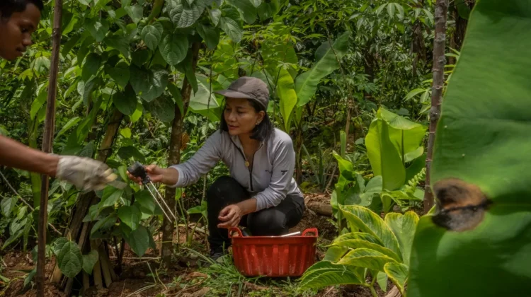PepsiCo dan National Geographic Danai Riset Pertanian Global