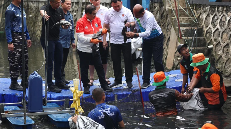 Pemprov DKI Lakukan Penangkapan Ikan Sapu-Sapu, Kendalikan Populasi Ikan Invasif