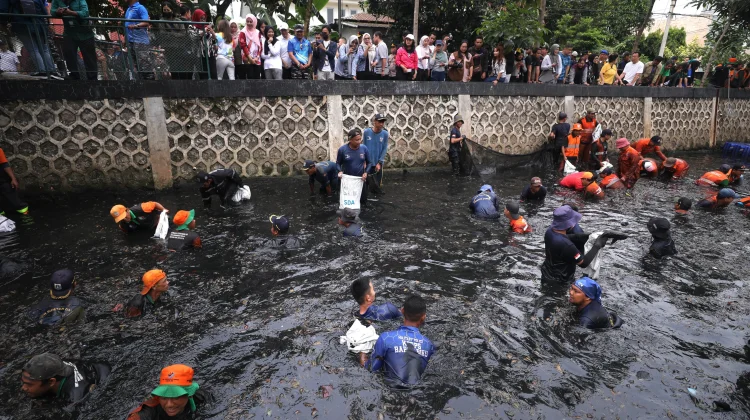 Ini Bahaya Dominasi Invasi Ikan Sapu-Sapu di Jakarta