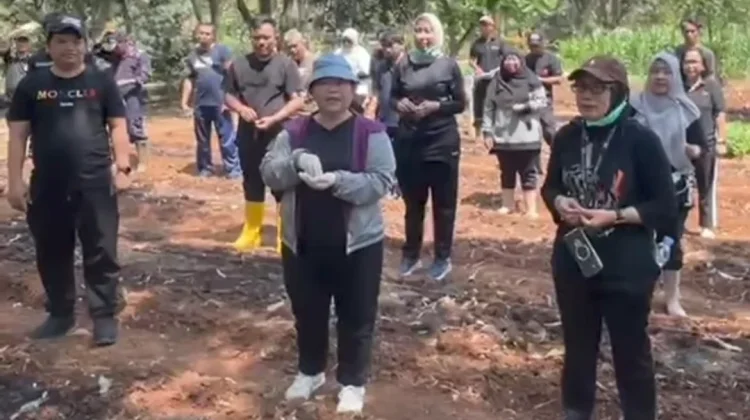 Sudin KPKP Jakut Gencarkan Gerakan Tanam Jagung Marunda