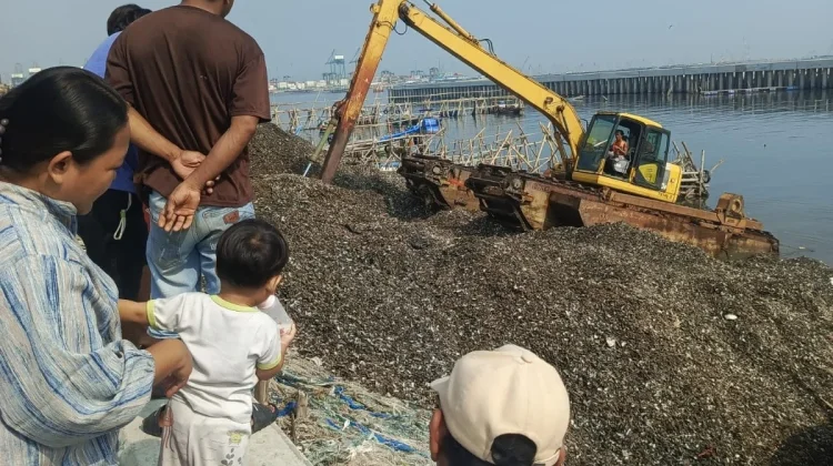 Transformasi Pesisir Kalibaru: Gundukan Kerang Dimanfaatkan Perbaikan Jalan