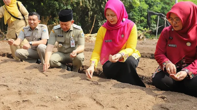 Kepulauan Seribu Gelar Panen Melon dan Tanam Edamame