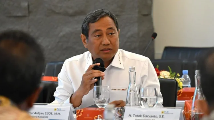 DPR RI Dorong Transaksi Batu Bara DMO Gunakan Rupiah