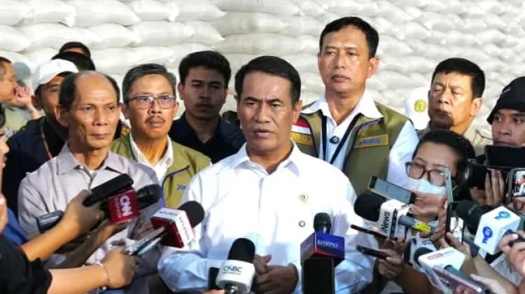 Stok Beras Tembus 5 Juta Ton, Bulog Pastikan Pangan Nasional Aman