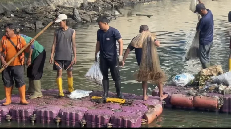 Pemkot Jakbar Tangkap 217 Kg Ikan Sapu-sapu di Cengkareng