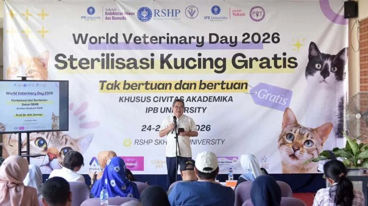 World Veterinary Day 2026, RSHP IPB Gelar Sterilisasi Kucing Gratis