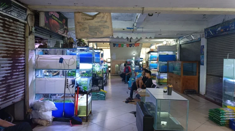 Pedagang Ikan di TPHP Cengkareng Keluhkan Penurunan Omzet hingga 90 Persen