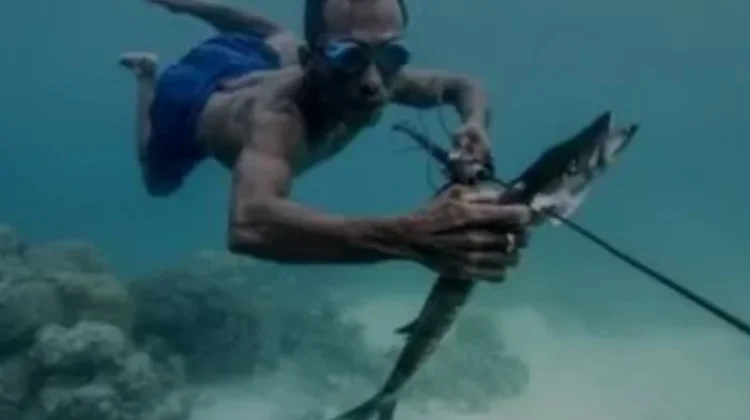 Tradisi Tuba Dikatutuang, Warisan Leluhur  Masyarakat  Bajo Menjaga Laut