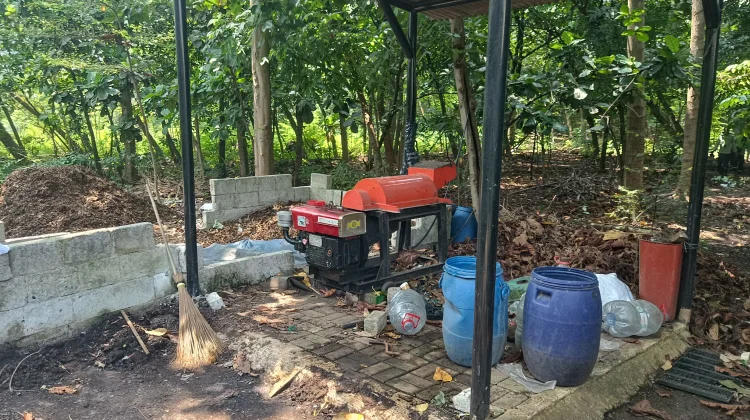 Menilik Potensi Hutan Kota Rawa Malang di Utara Jakarta