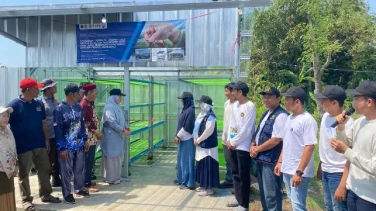 ITB Kembangkan Teknologi Pengering Rumput Laut Berbasis Energi Surya