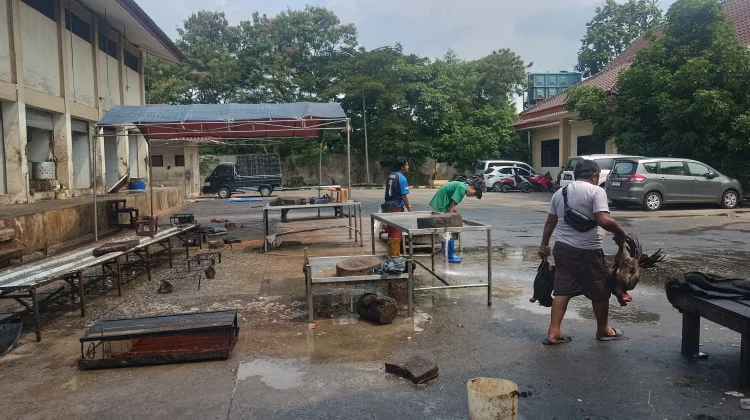 Saat Jakarta Tidur, Rumah Potong Unggas Marunda Tetap Sibuk