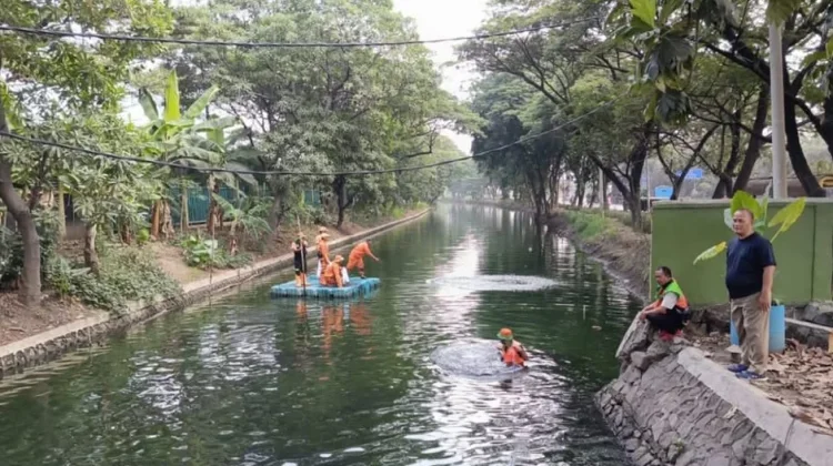 Petugas Gabungan Tangkap Ikan Sapu-Sapu di Kali Cilincing