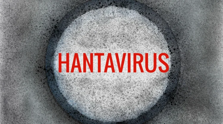 23 Kasus Hantavirus Ditemukan di Indonesia, Jakarta Waspada