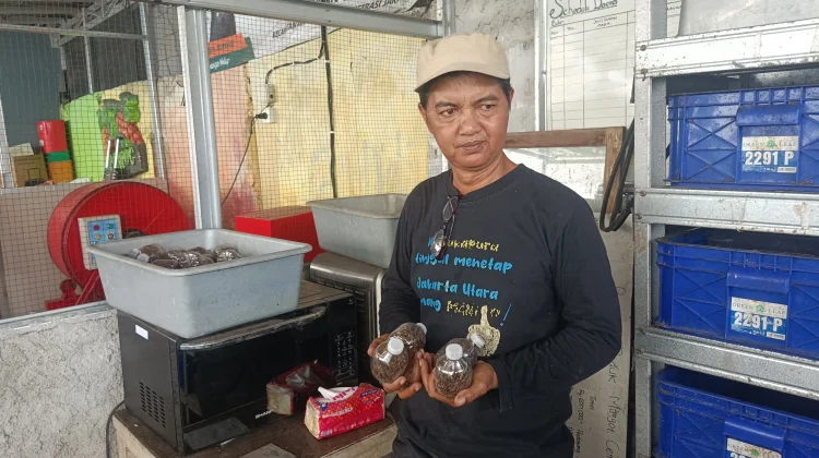 "Tempe Bacem": Inovasi Warga Koja Olah Sampah Organik Jadi Pakan Berkualitas