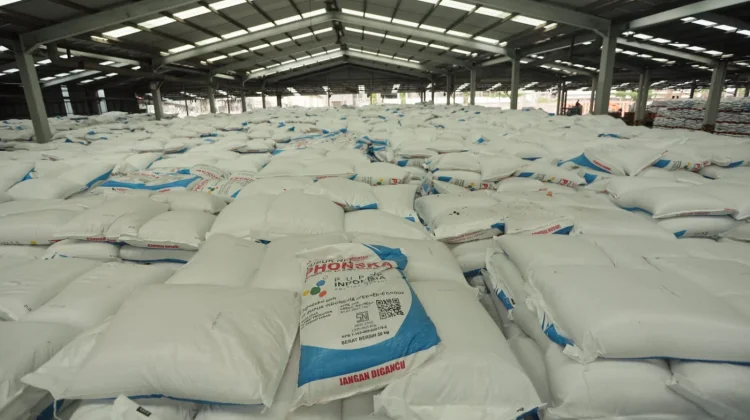 Kawal Musim Tanam, Petrokimia Gresik Siapkan 219 Ribu Ton Pupuk Bersubsidi
