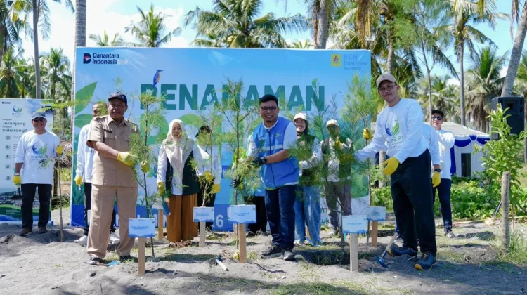 Peringati Hari Keanekaragaman Hayati, PLN EPI Tanam 2.500 Cemara Udang