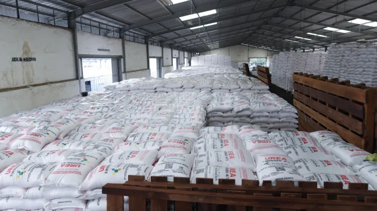 Ekspor Urea ke Australia Perkuat Diplomasi dan Ketahanan Pangan Regional