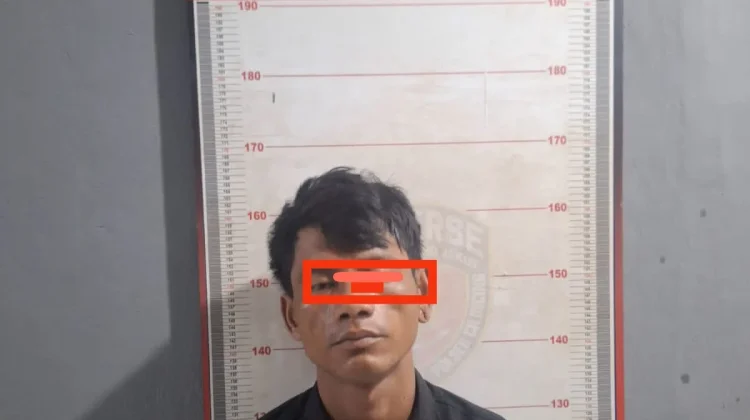 Polsek Cilincing Tangkap Pelaku Pencurian Mobil Box Viral TikTok