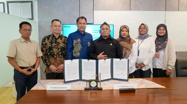 Kembangkan Bioenergi Sorgum, PLN EPI Gandeng Sorbu Agro Energi