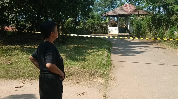 Ngeri! Kesaksian Warga Marunda Soal Serangan Monyet Liar yang Melukai Anak-anak