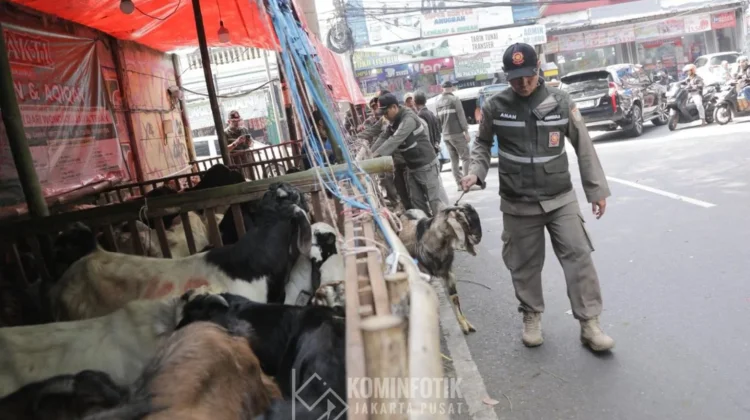 Mengganggu Kenyamanan Warga, Lapak Hewan Kurban di Tanah Abang Ditertibkan