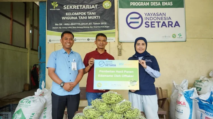 Yayasan Indonesia Setara Sukses Gelar Panen Perdana Edamame