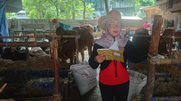 Ini Tips Memilih Sapi Kurban yang Sehat dan Layak ala SPG "Cowboy"